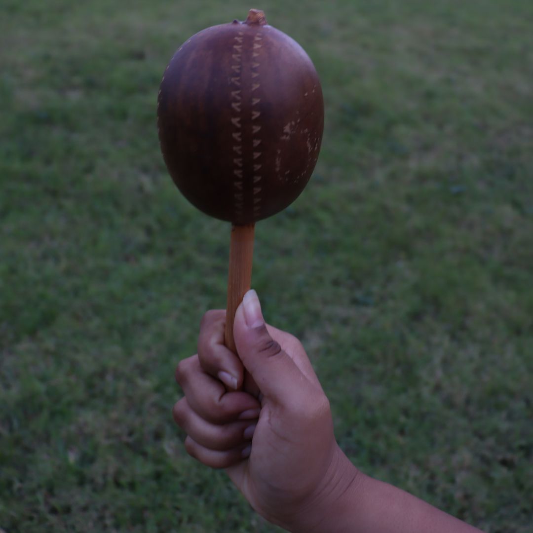 Maraca Artesanal