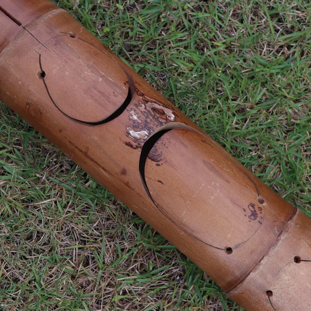 Mayaguacan